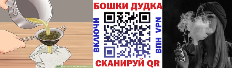 Купить  Кирово-Чепецк  Canna-Cookies конопля 