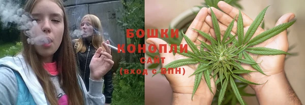 альфа пвп Заводоуковск