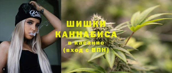 альфа пвп Заводоуковск