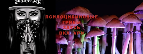 альфа пвп Заводоуковск