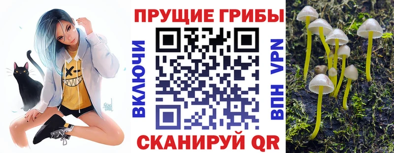 Купить закладки  Кирово-Чепецк  Псилоцибиновые грибы прущие грибы 