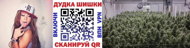 Шишки марихуана THC 21%  Купить закладки  Кирово-Чепецк 